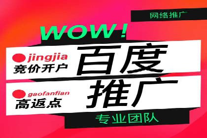 企业SEM服务实战案例解析